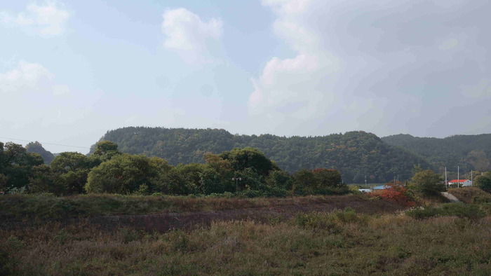 포도마을 주변 사진