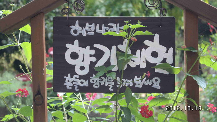 허브나라 안내 문구