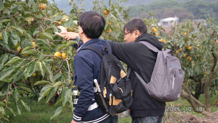 이상훈 박순서 감따는 사진