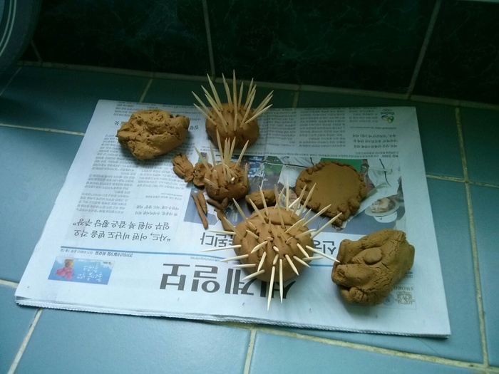 완성된 찰흙고슴도치는 이수시개로 고슴도치 등가시가 잘표현 된 사진