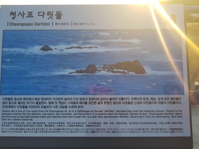 청사포 다릿돌 안내문 청사포 다릿돌 안내문