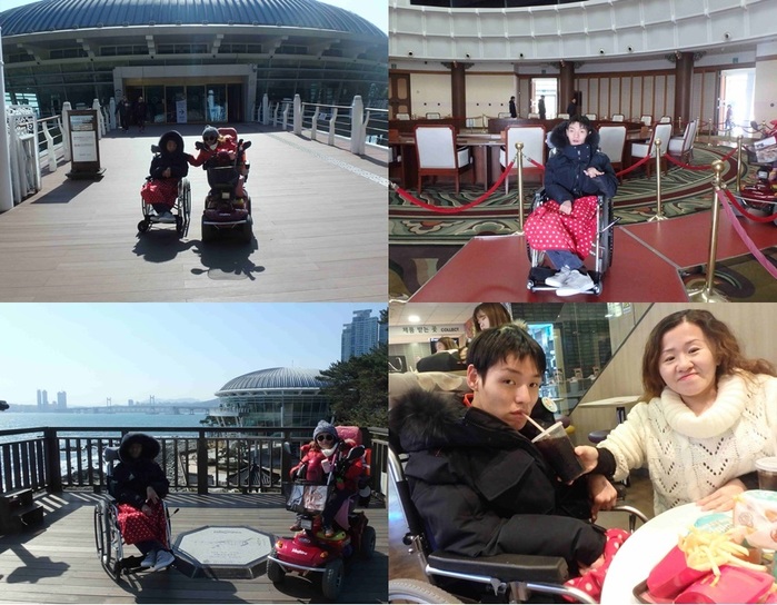 동백 누리마루 APEC하우스 관람 동백 누리마루 APEC하우스 관람