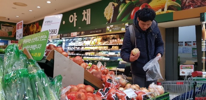 정우씨 햇양파 고르는 모습 정우씨 햇양파 고르는 모습