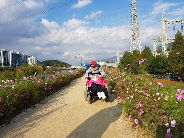 코스모스가 피어있는 길에 포즈를 잡은 전연식씨 사진