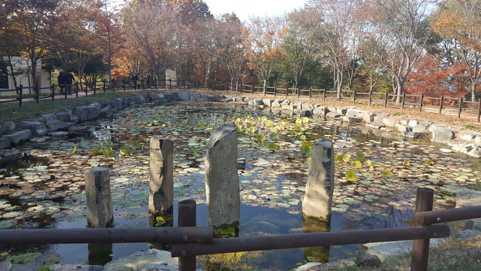 연못사진 연못사진