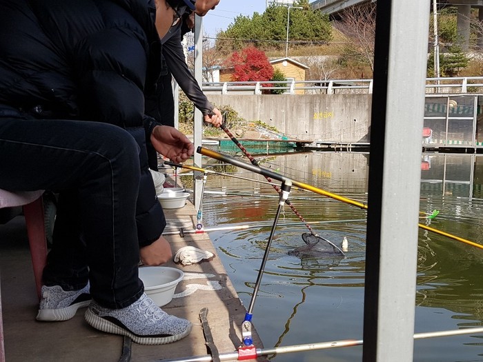 낚시에 걸려 파닥거리는 붕어를 물속에서 떨채로 떠는 사지