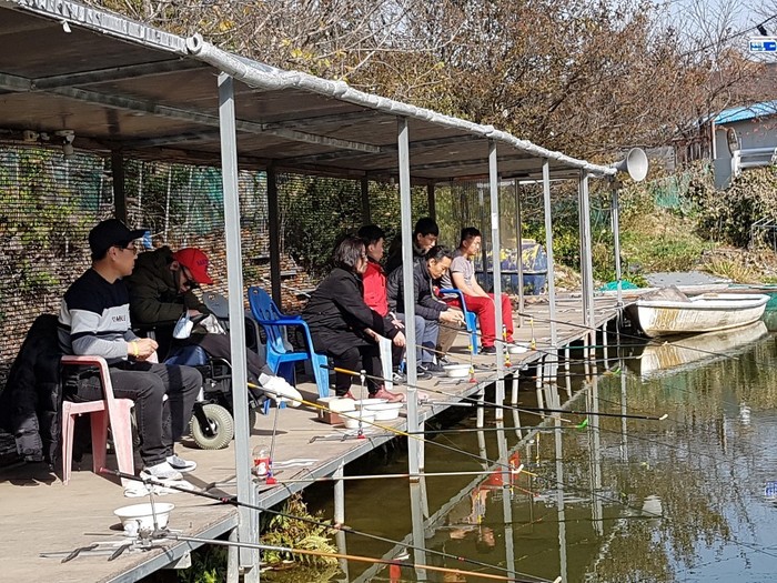 세팅된 낚시대앞에 체험 홈 일행이 일자로 않아서 낚시대 찌를 보고있는 사진