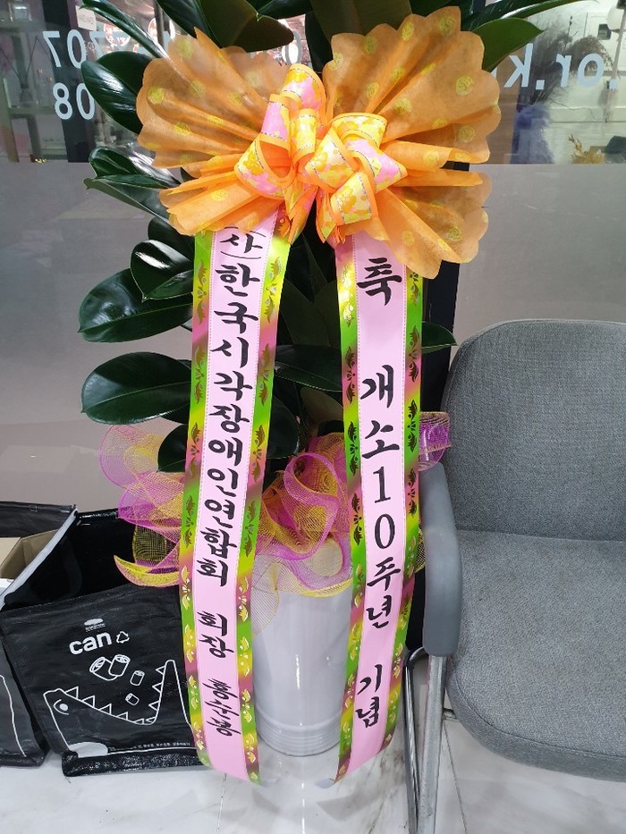화분사진 화분사진