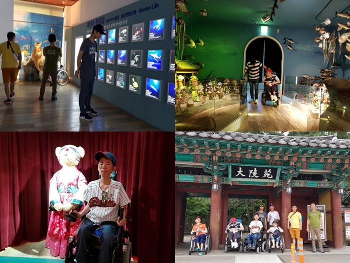 테디베어 사진 4장 테디베어 사진 4장