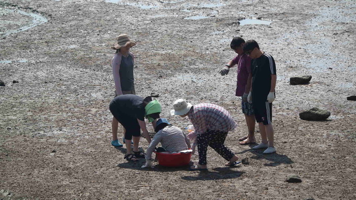 물빠진 바다에 하윤숙 간사가 탄 대야를 밀고 있는 중 물빠진 바다에 하윤숙 간사가 탄 대야를 밀고 있는 중