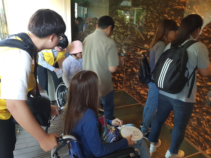 패총 관람하고 있는 모습 패총 관람하고 있는 모습