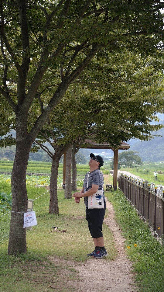 나무를 쳐다보고 있는 정민씨 나무를 쳐다보고 있는 정민씨