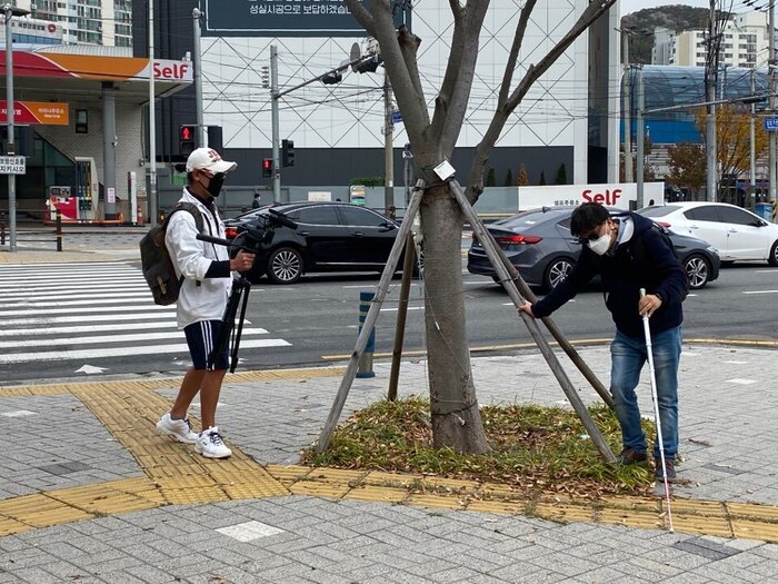 점자블록 옆에 설치된 가로수 기둥모습 점자블록 옆에 설치된 가로수 기둥모습