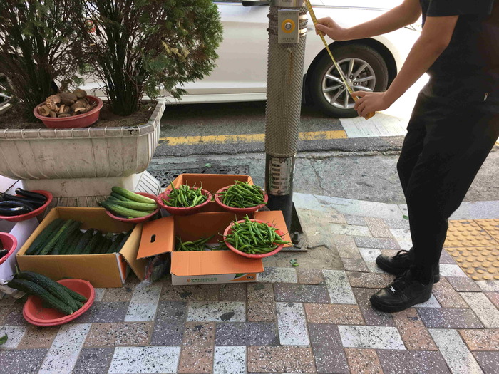 음향신호기 옆에 좌판에 채소가 있는 모습 음향신호기 옆에 좌판에 채소가 있는 모습