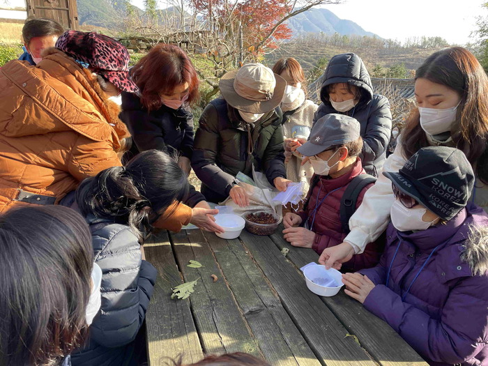편백나무 열매로 방향제 만드는 중 편백나무 열매로 방향제 만드는 중