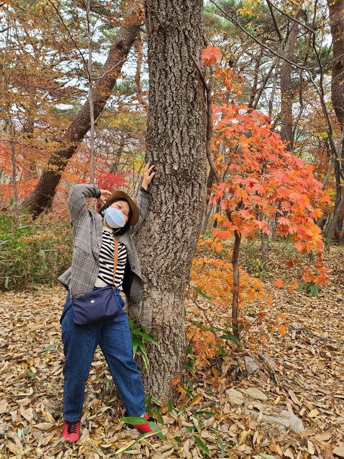 유영신님 단풍나무와 한컷~ 유영신님 단풍나무와 한컷~
