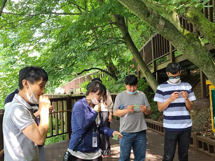 나뭇잎으로 모양 만들기 체험 나뭇잎으로 모양 만들기 체험