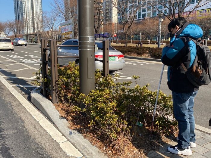 버스 중앙차로에 화단속에 있는 음향신호기 모습 버스 중앙차로에 화단속에 있는 음향신호기 모습