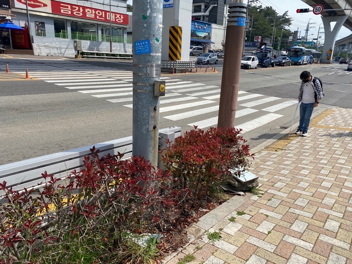 화단에 설치된 음향신호기를 찾아가는 모습 화단에 설치된 음향신호기를 찾아가는 모습
