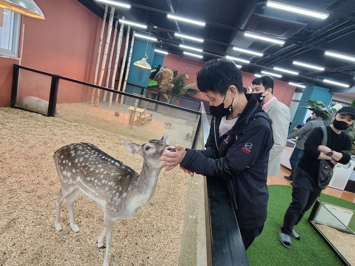 사슴을 쓰다듬는 이경우 사진 사슴을 쓰다듬는 이경우 사진