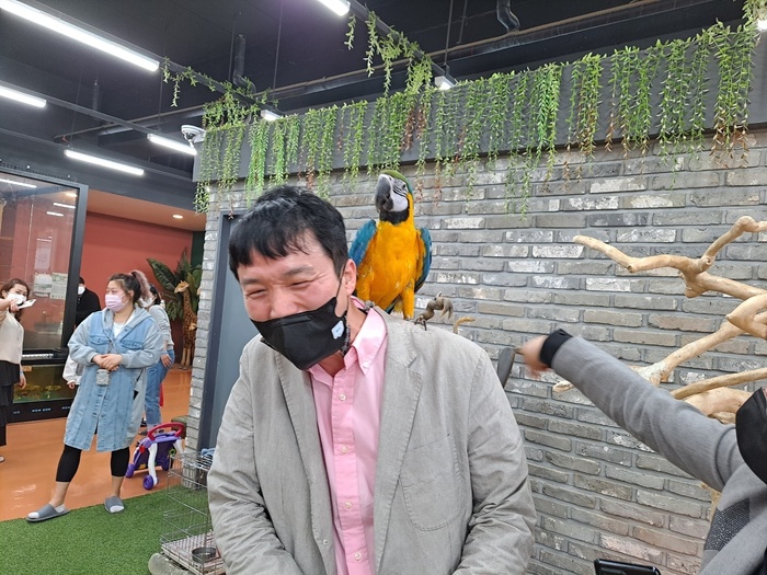정신우 어께에 앉은 앵무새 사진 정신우 어께에 앉은 앵무새 사진