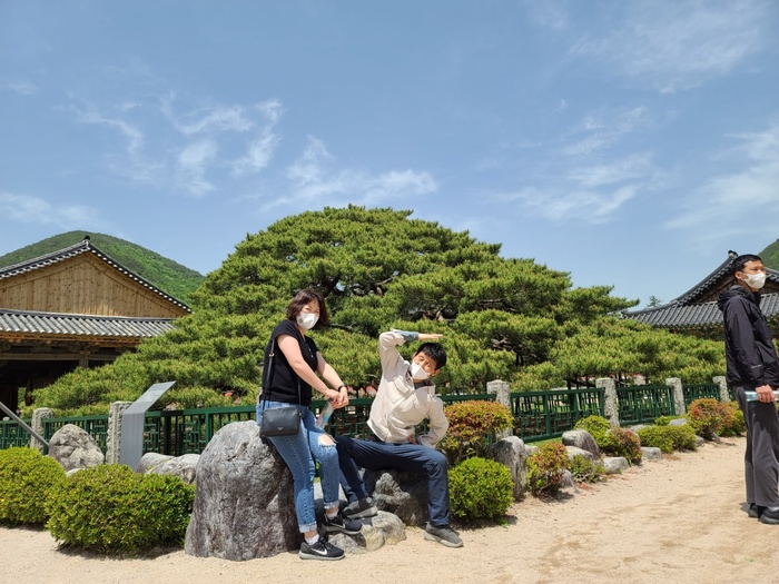 운문사 쳐진 소나무 앞에 앉은 이은성부장님과 이경우씨사진 운문사 쳐진 소나무 앞에 앉은 이은성부장님과 이경우씨사진