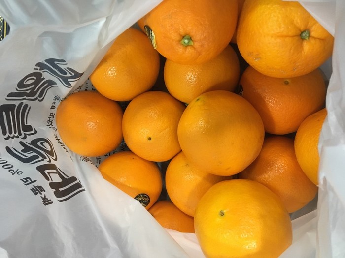 봉지안에 오렌지 과일이 들어있는 모습