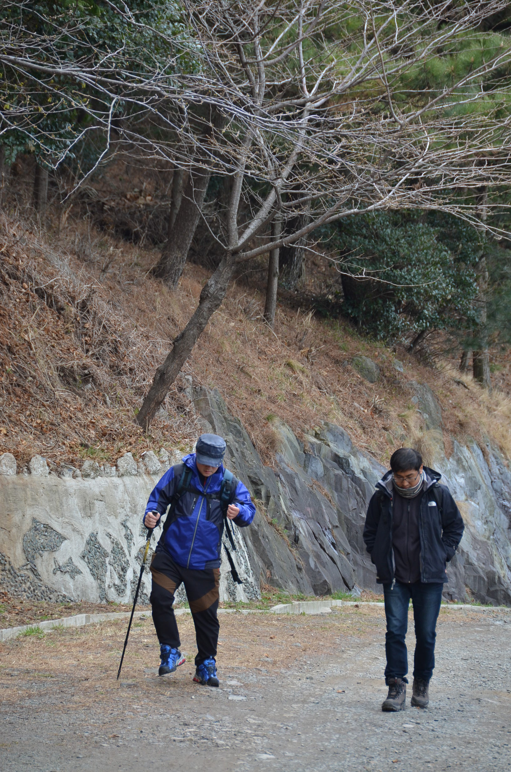 김중혁님 걷는 사진