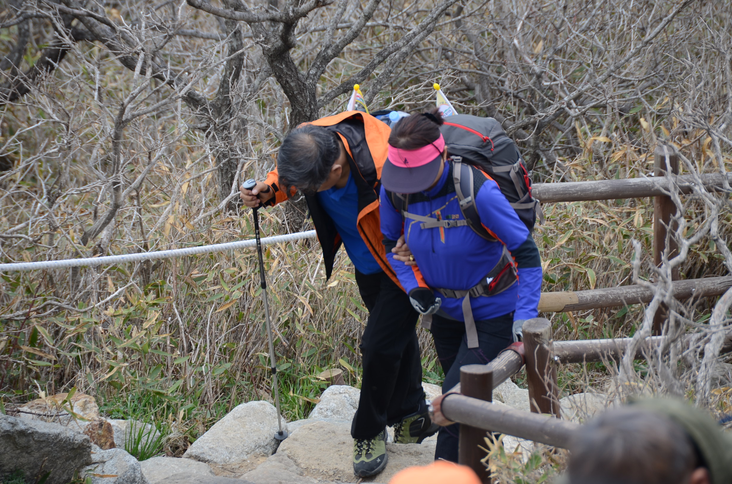 권용생님 산행사진